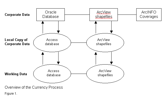 Overview of the Currency Process