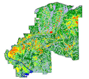 1974 Land Cover Classification Derived From NALC Imagery