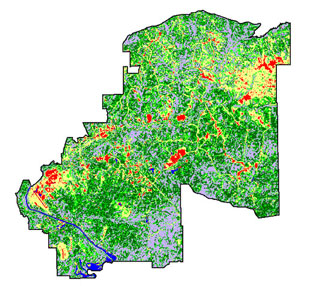 1991 Land Cover Classification Derived From NALC Imagery