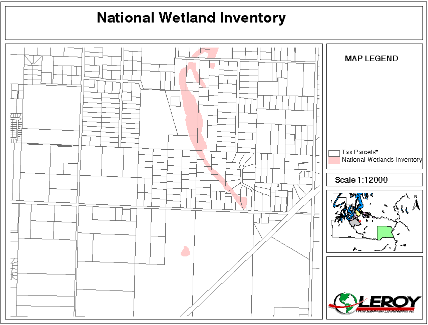 National Wetland Inventory