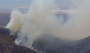 Bullock Fire, May 2002, Coronado National Forest, Catalina Mountains, Arizona