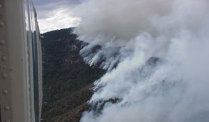 Bullock Fire, May 2002, Coronado National Forest, Catalina Mountains, Arizona