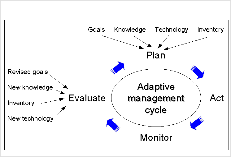 Figure 10. The adaptive ecosystem management process.