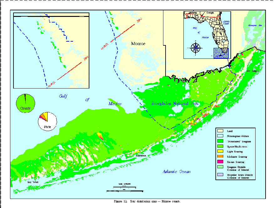 Figure 12.  Scar distribution map -- 
Monroe county.
