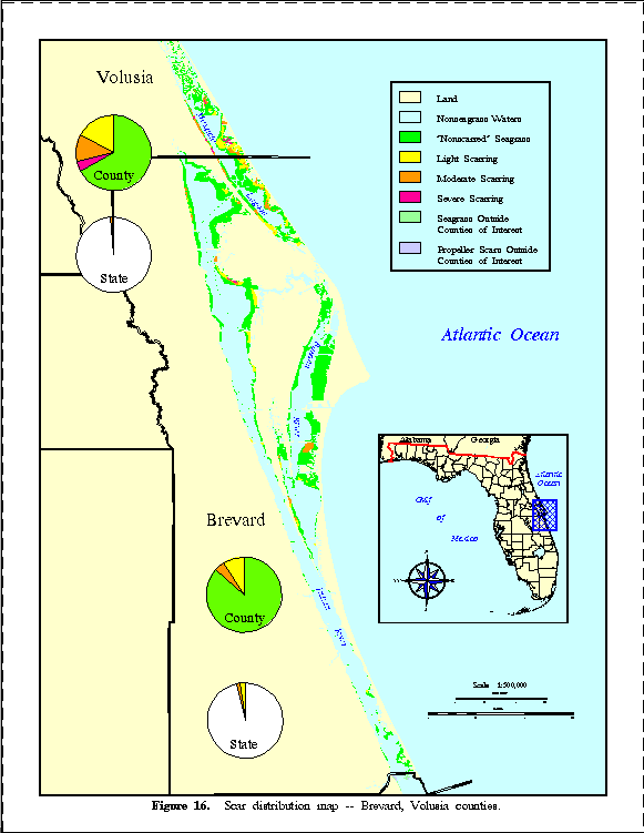 Figure 16.  Scar distribution map -- 
Brevard, Volusia counties.