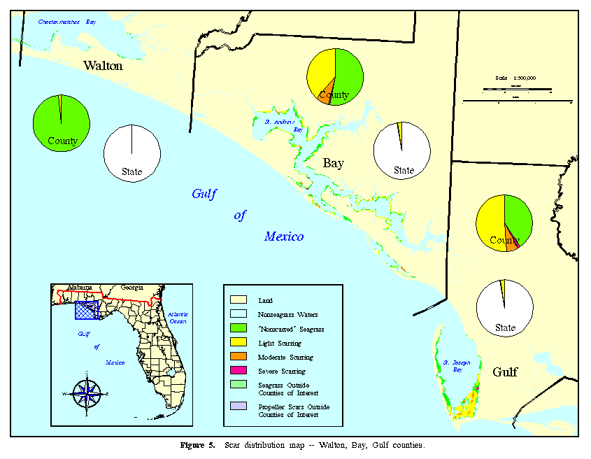 Figure 5.  Scar distribution map -- 
Walton, Bay, Gulf counties.