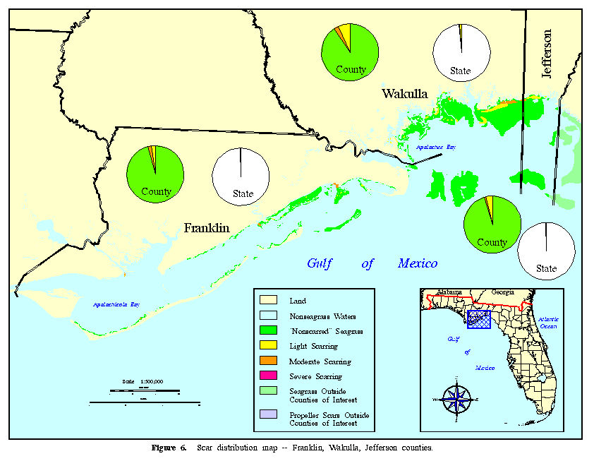 Figure 6.  Scar distribution map -- 
Franklin, Wakulla, Jefferson counties.