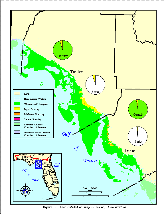 Figure 7.  Scar distribution map -- 
Taylor, Dixie counties.