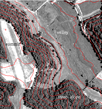 Orthophotograph of study site with 10-meter contour lines