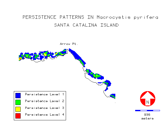 Figure 11: Map of kelp persistence in the vicinity of Arrow Point on the leeward side of Santa Catalina Island. Persistence levels represent the number of surveys kelp was observed.