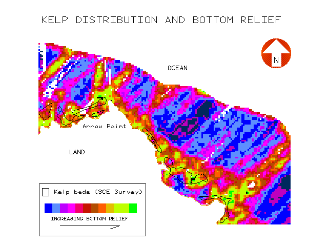Figure 13: Kelp beds (polygons) overlain on 10x10 bottom relief model showing relationship between kelp bed distribution and higher bottom relief