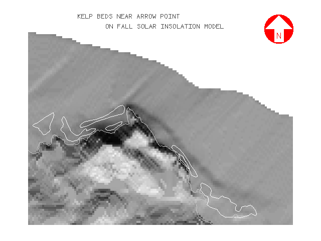 Figure 21: Kelp beds near Arrow Point on Catalina's West End overlain on seasonal solar insolation model for the fall months