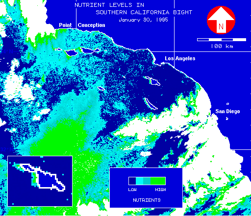 Figure 22: Inferred surface nitrate levels in the southern California Bight, January 30, 1995, showing higher levels on Santa Catalina Island's windward side