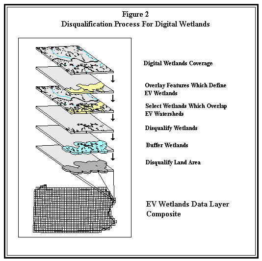 Disqualification Process For Digital Wetlands