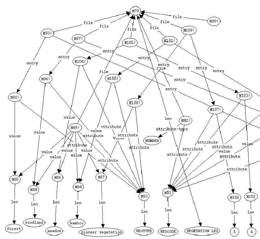 Partial view of an automatically 
built SNePS knowledge-base