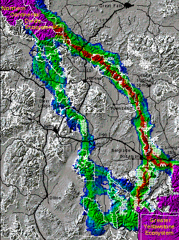 GYE-NCDE grizzly corridor