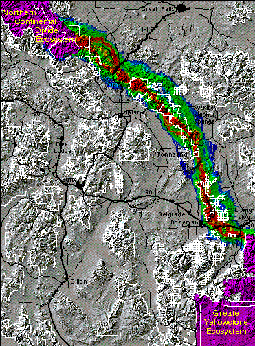 GYE-NCDE elk corridor