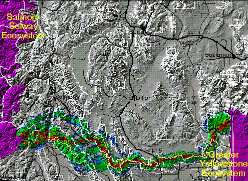 GYC-SSE grizzly corridor 