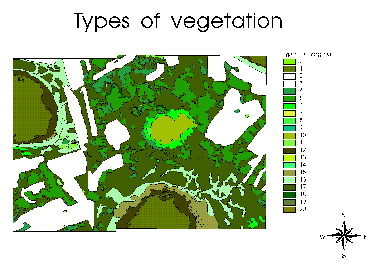 Map of Vegetation