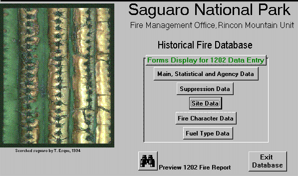 Figure 3. The switchboard menu for data entry of 1202 Fire Report Data at Saguaro National Park