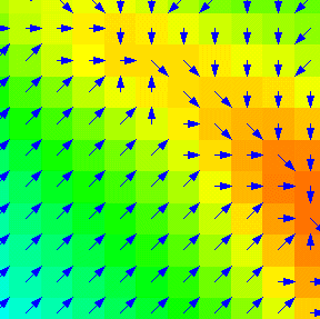 Flow Direction Grid