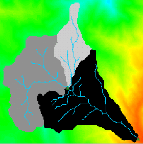 Delineated Watershed and Sub-basins