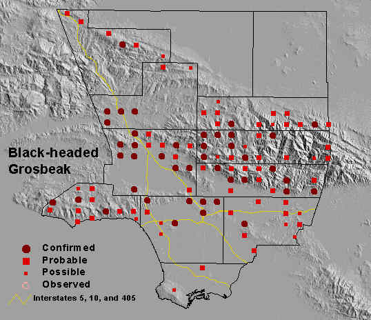 Black-headed Grosbeak map