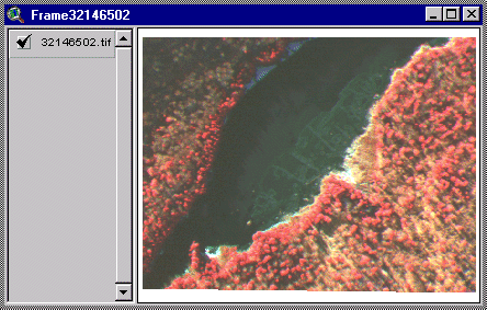 Single Image Frame