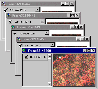 Automatically Generated Image Views