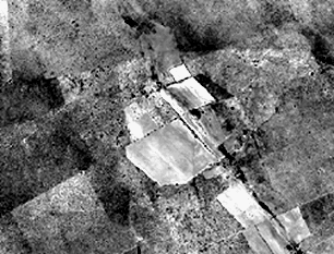 1982 raw image