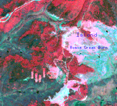 BCEF and the Rosie Creek Burn