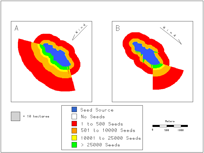Seed Source Orientation