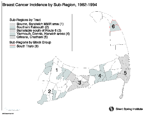 Figure 8.  Breast Cancer Incidence by Sub-Region