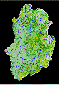 Figure 12. Predicted Habitat Type Classes for the Gold Fork Watershed Using the Environmental Gradient Methodology.
