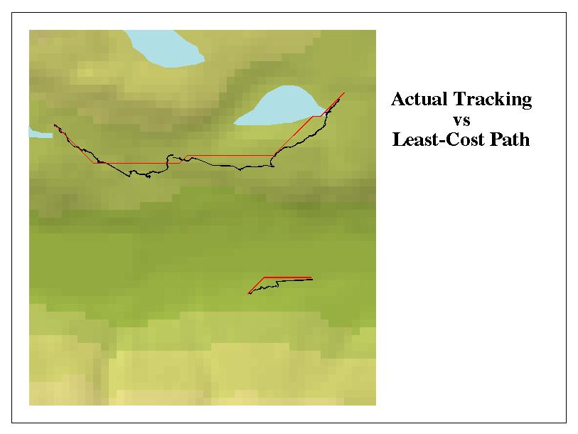 Comparison of predicted least-cost path and actual tracking sessions