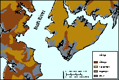 Soil type