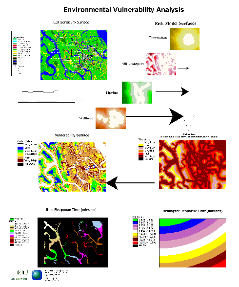 Analysis Process Map