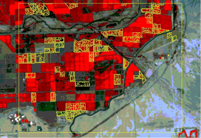 Figure 5:Spectrally Derived Signature Regions over TM Image