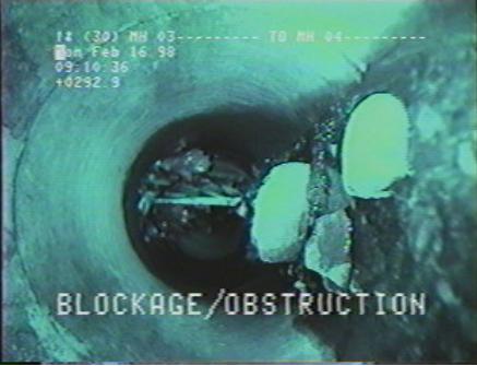 P56810.jpg (21854 bytes)