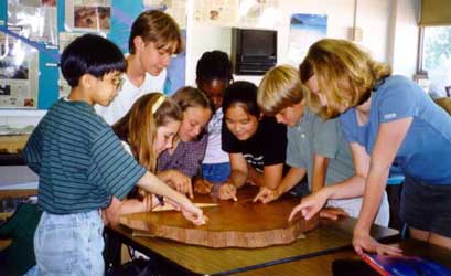 Dendrochronologists count tree rings