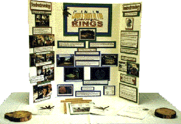 Dendrochronology Display